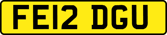 FE12DGU