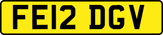 FE12DGV