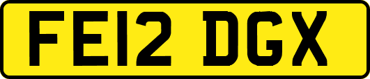 FE12DGX