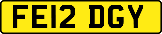 FE12DGY