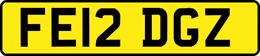 FE12DGZ