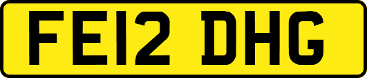 FE12DHG