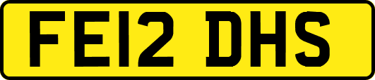 FE12DHS