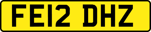 FE12DHZ