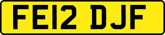 FE12DJF