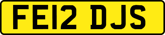 FE12DJS