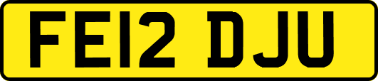 FE12DJU