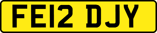 FE12DJY