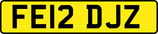 FE12DJZ