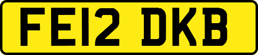 FE12DKB