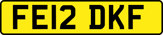 FE12DKF