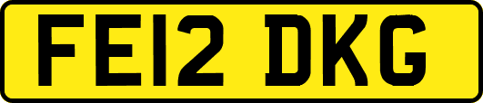 FE12DKG
