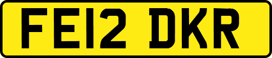 FE12DKR