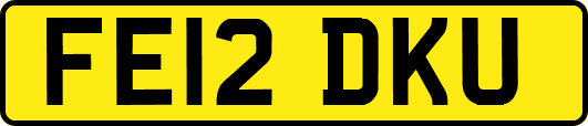 FE12DKU