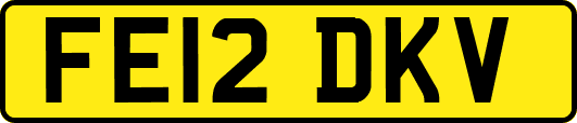 FE12DKV