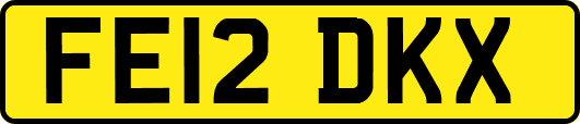 FE12DKX