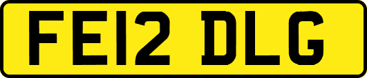 FE12DLG