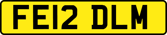 FE12DLM