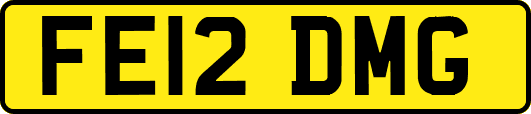FE12DMG