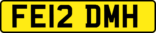 FE12DMH