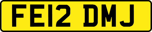 FE12DMJ