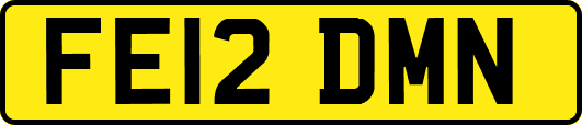 FE12DMN