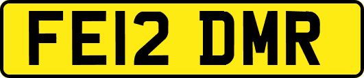 FE12DMR