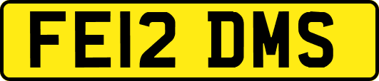 FE12DMS