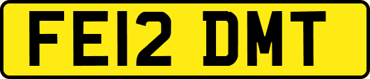 FE12DMT