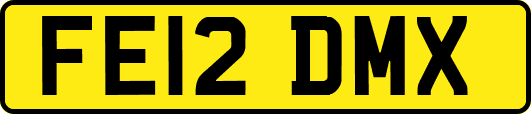 FE12DMX