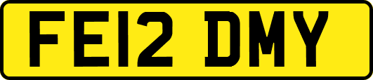 FE12DMY