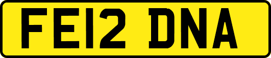 FE12DNA