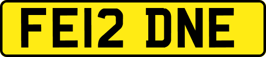 FE12DNE