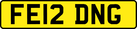 FE12DNG