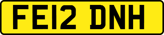 FE12DNH