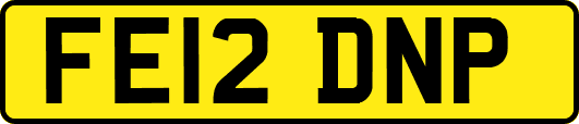 FE12DNP