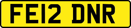 FE12DNR
