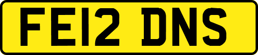FE12DNS