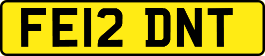 FE12DNT