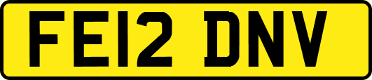 FE12DNV