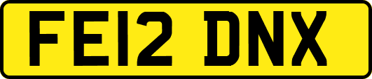 FE12DNX