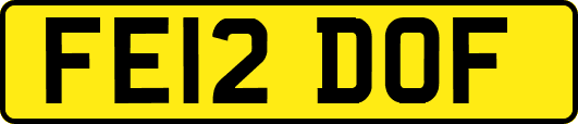 FE12DOF