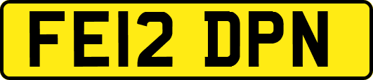 FE12DPN