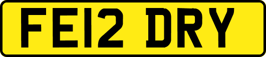 FE12DRY