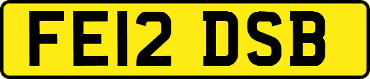 FE12DSB