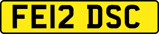 FE12DSC