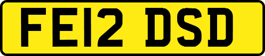 FE12DSD