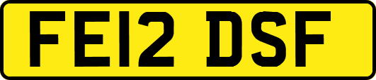 FE12DSF