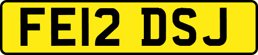 FE12DSJ