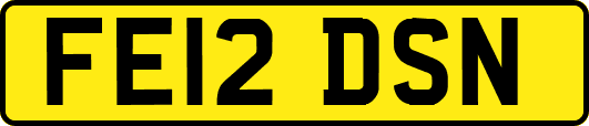 FE12DSN